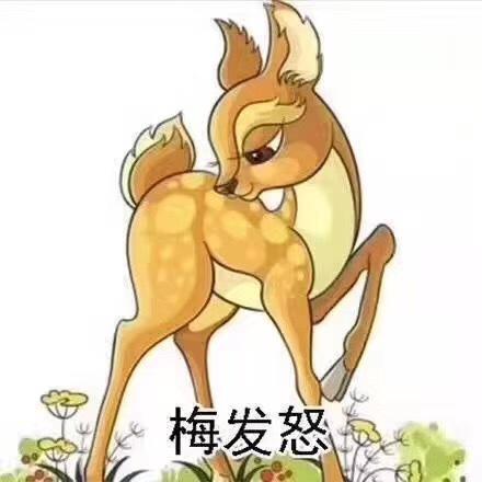 圆恩元