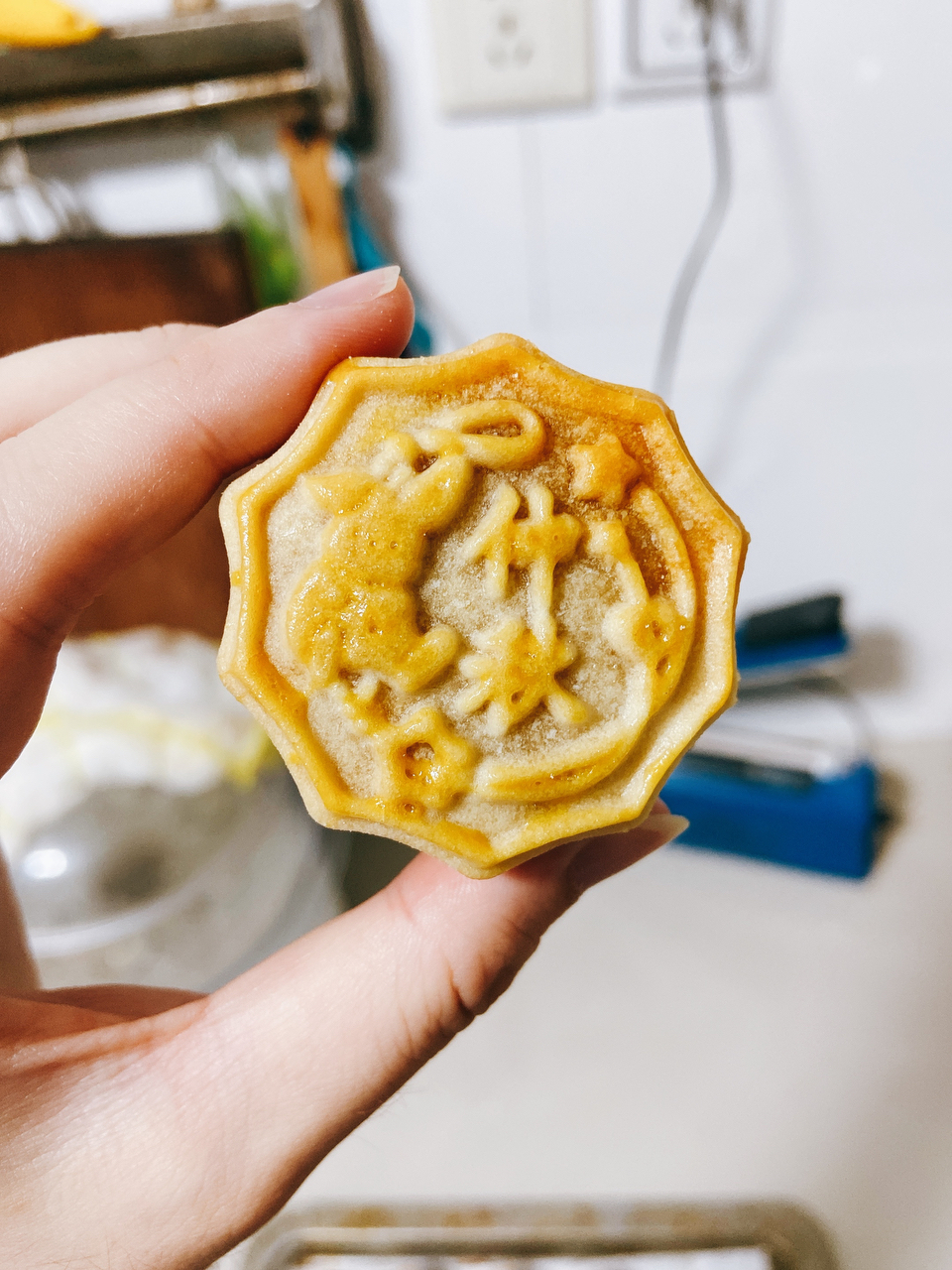 咸蛋黄肉松海苔月饼