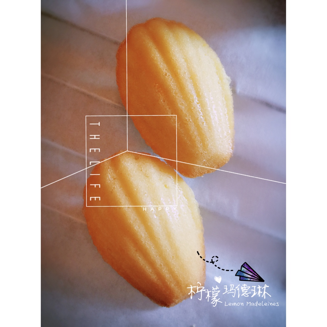 玛德琳（蓝带方）