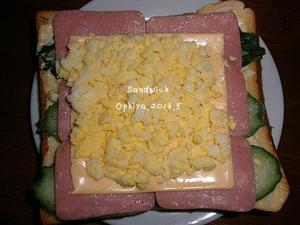 Sandwich/DIY营养健康家庭三明治的做法 步骤1