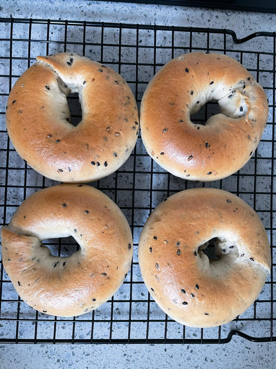 原味贝果🥯/黑芝麻贝果🥯
