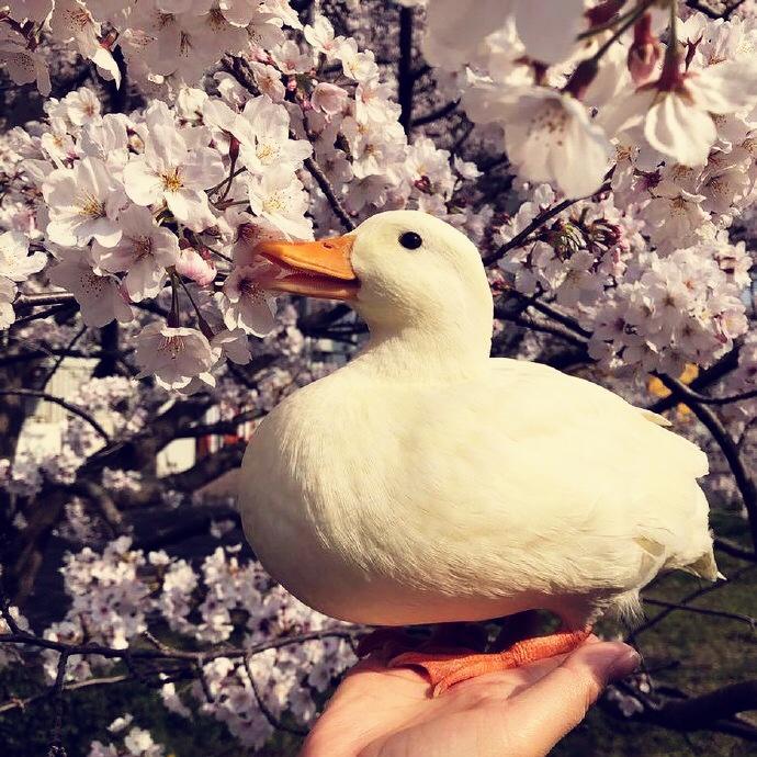 饲养员的厨房