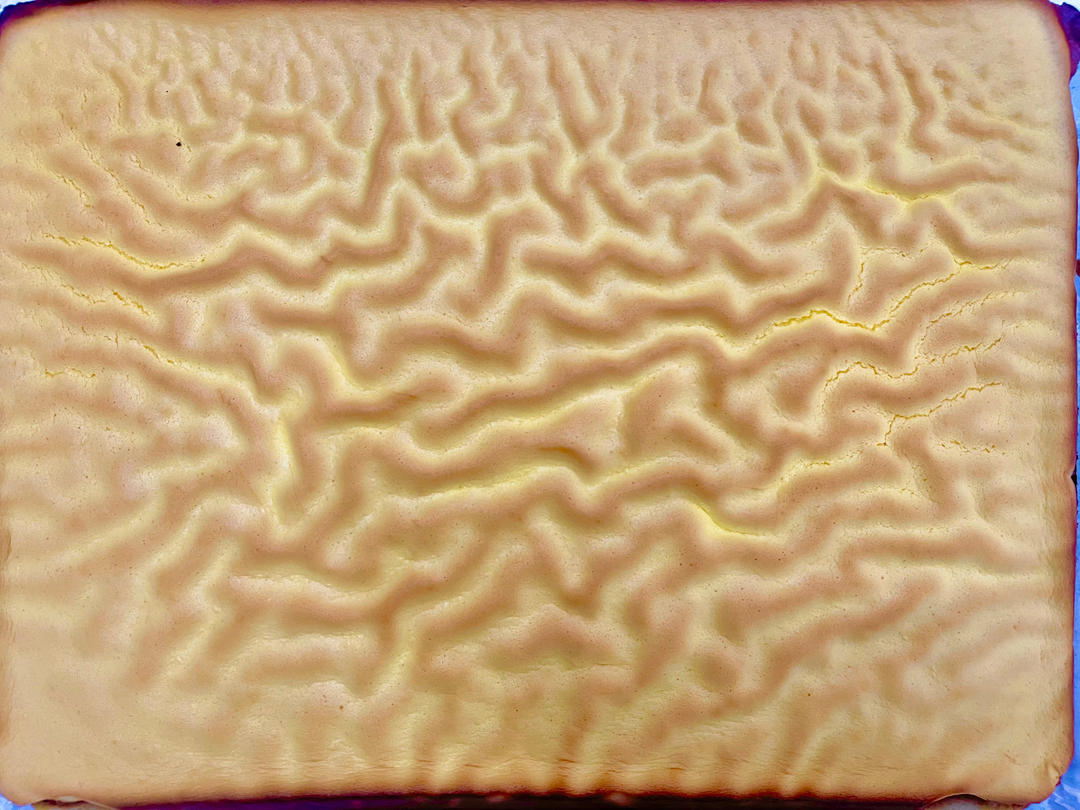 虎皮蛋糕（虎皮）