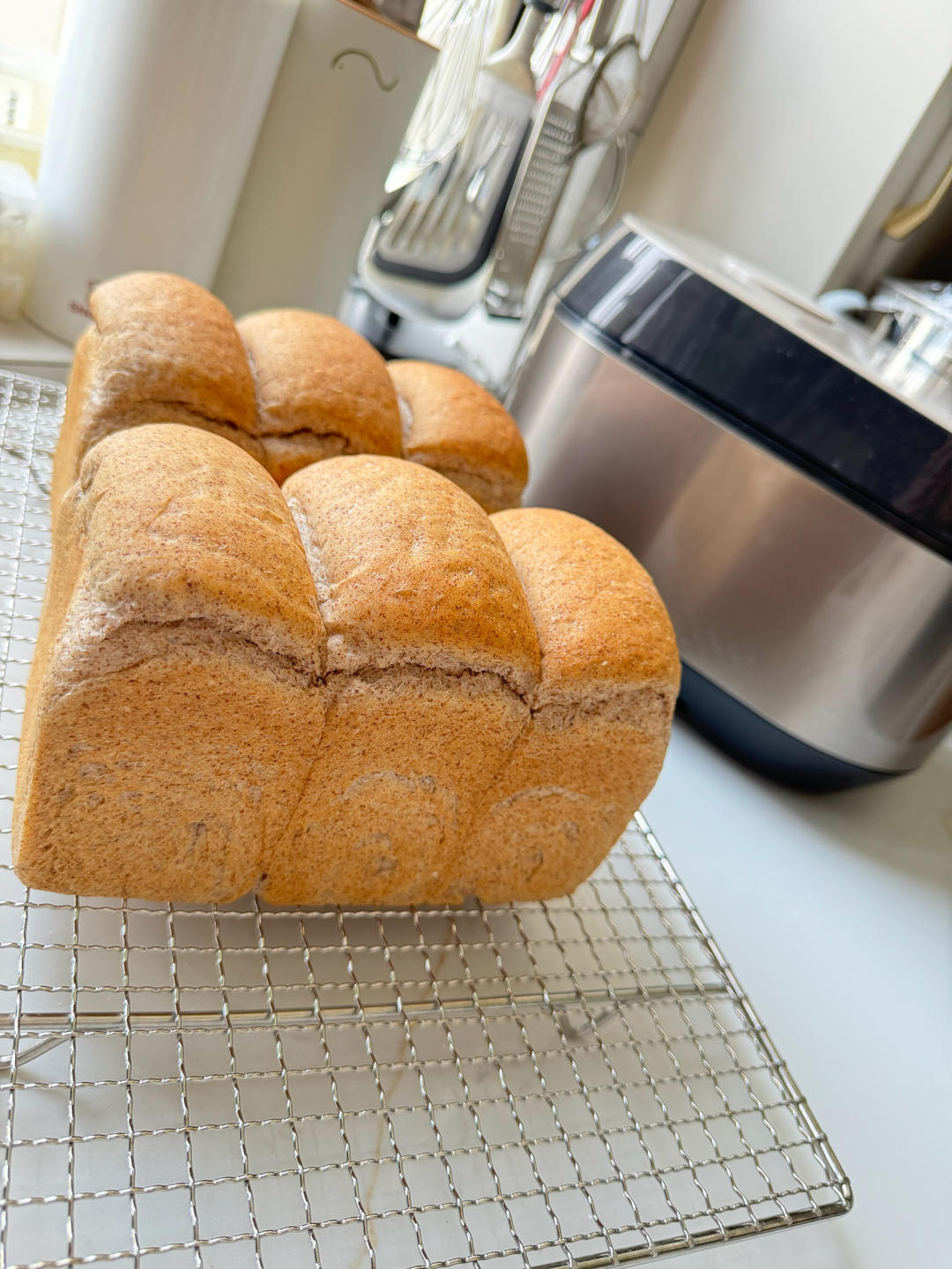 试过无数全麦吐司，还是这款40%全麦生吐司最好吃！