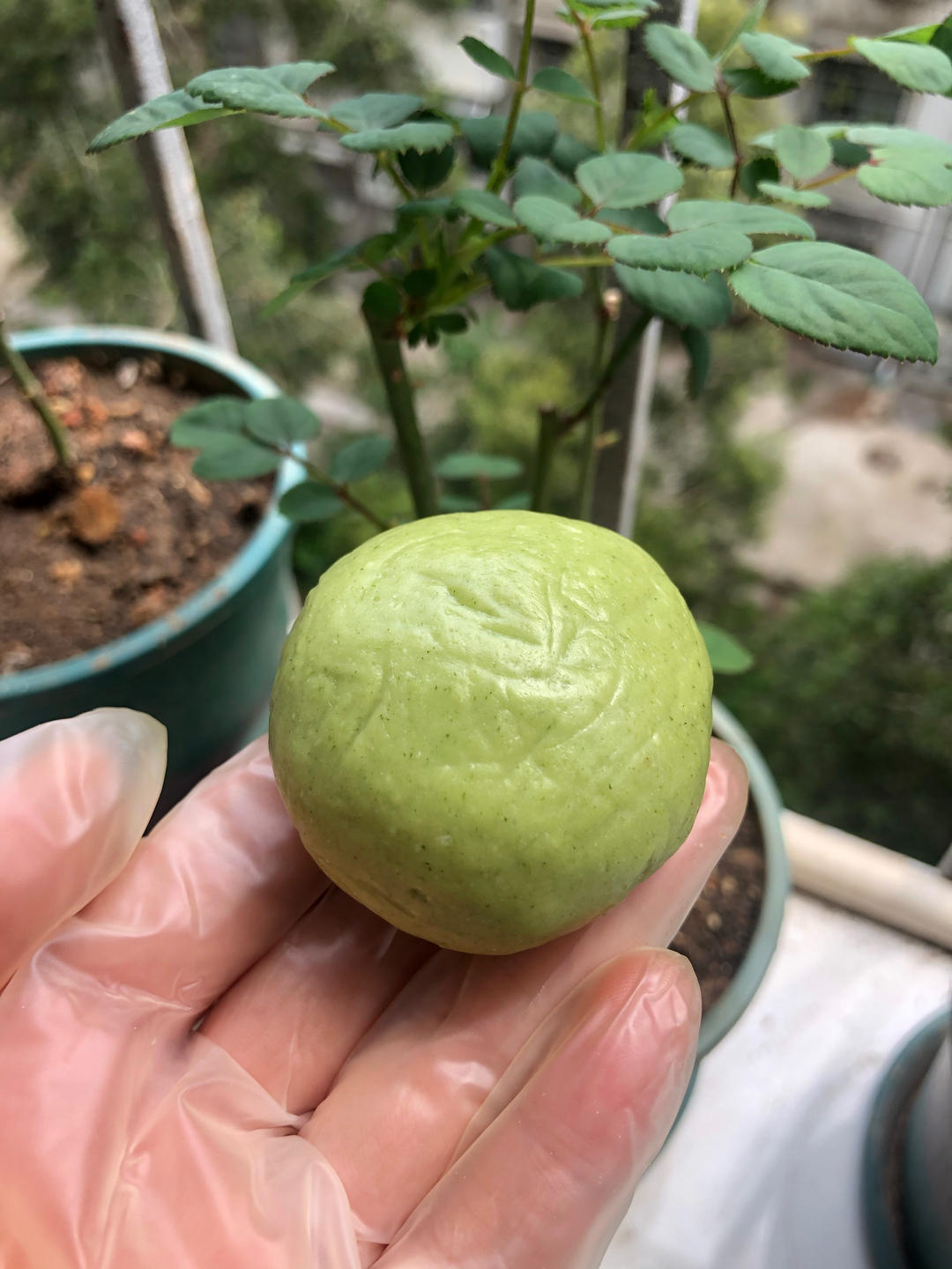 青团 | 咸蛋黄肉松馅