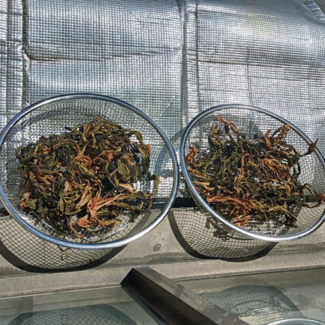自制梅干菜