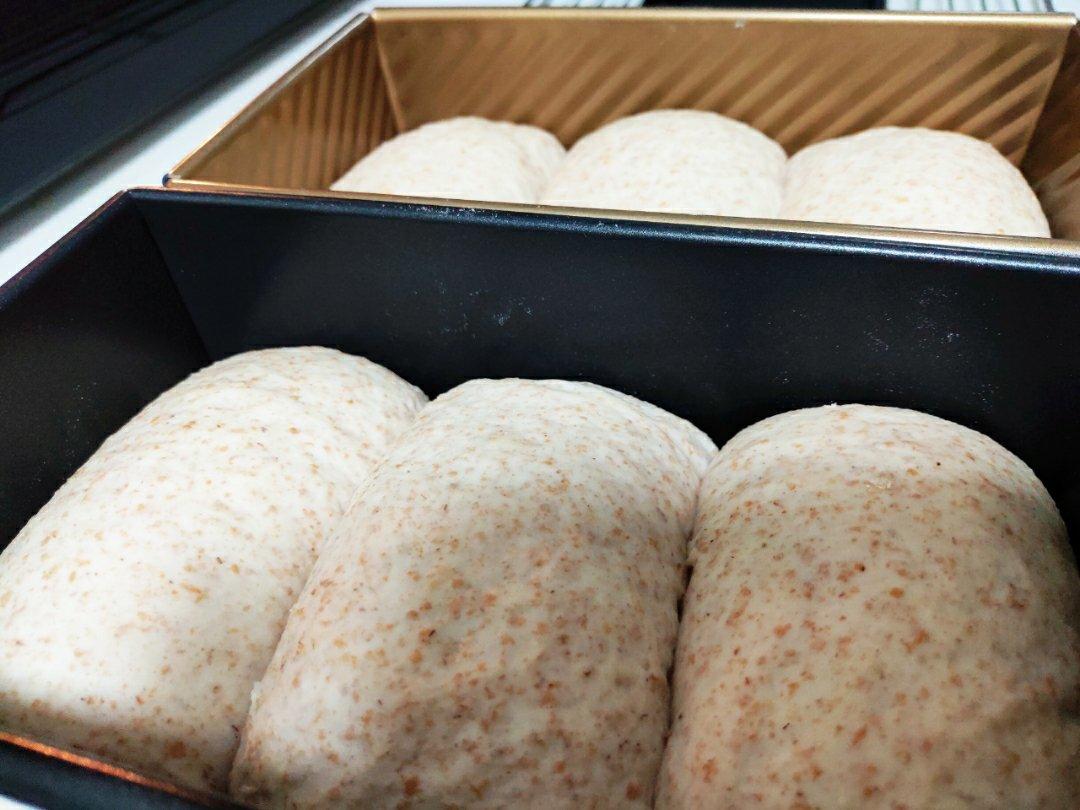 高水量低糖全麦吐司【汤种法】