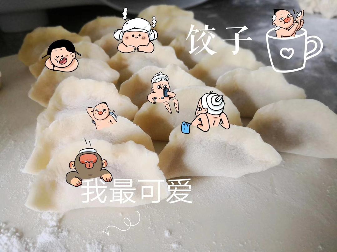 大白菜猪肉馅（超好吃的饺子馅）
