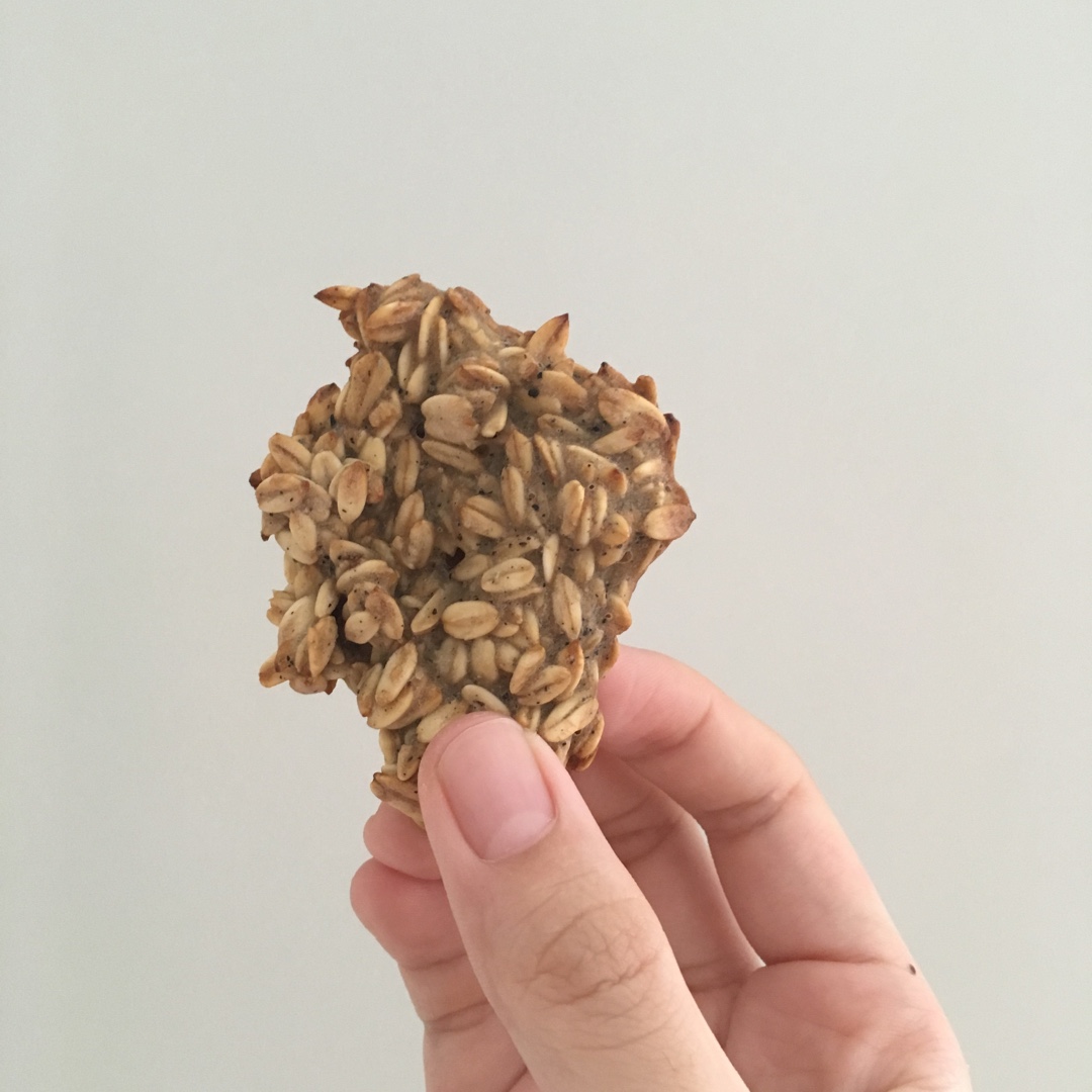 蜂蜜红糖燕麦饼干（无油）