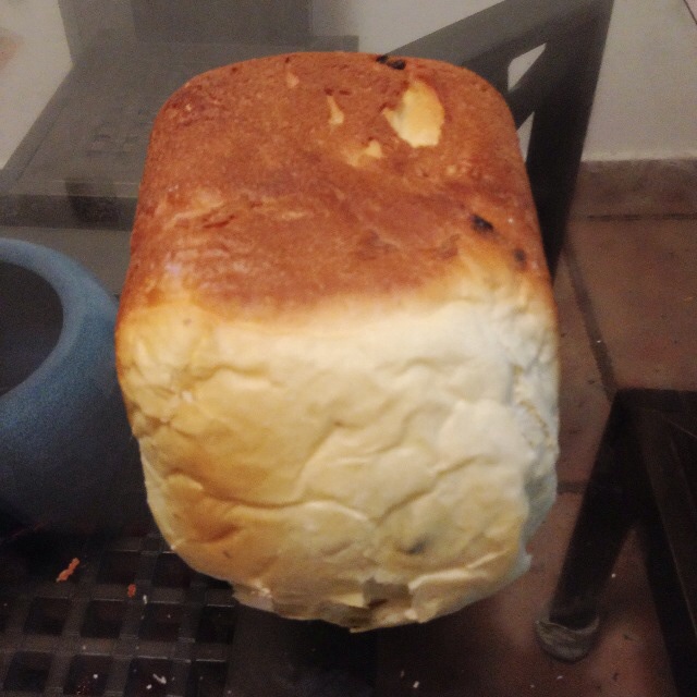 蔓越莓全麦黑糖面包