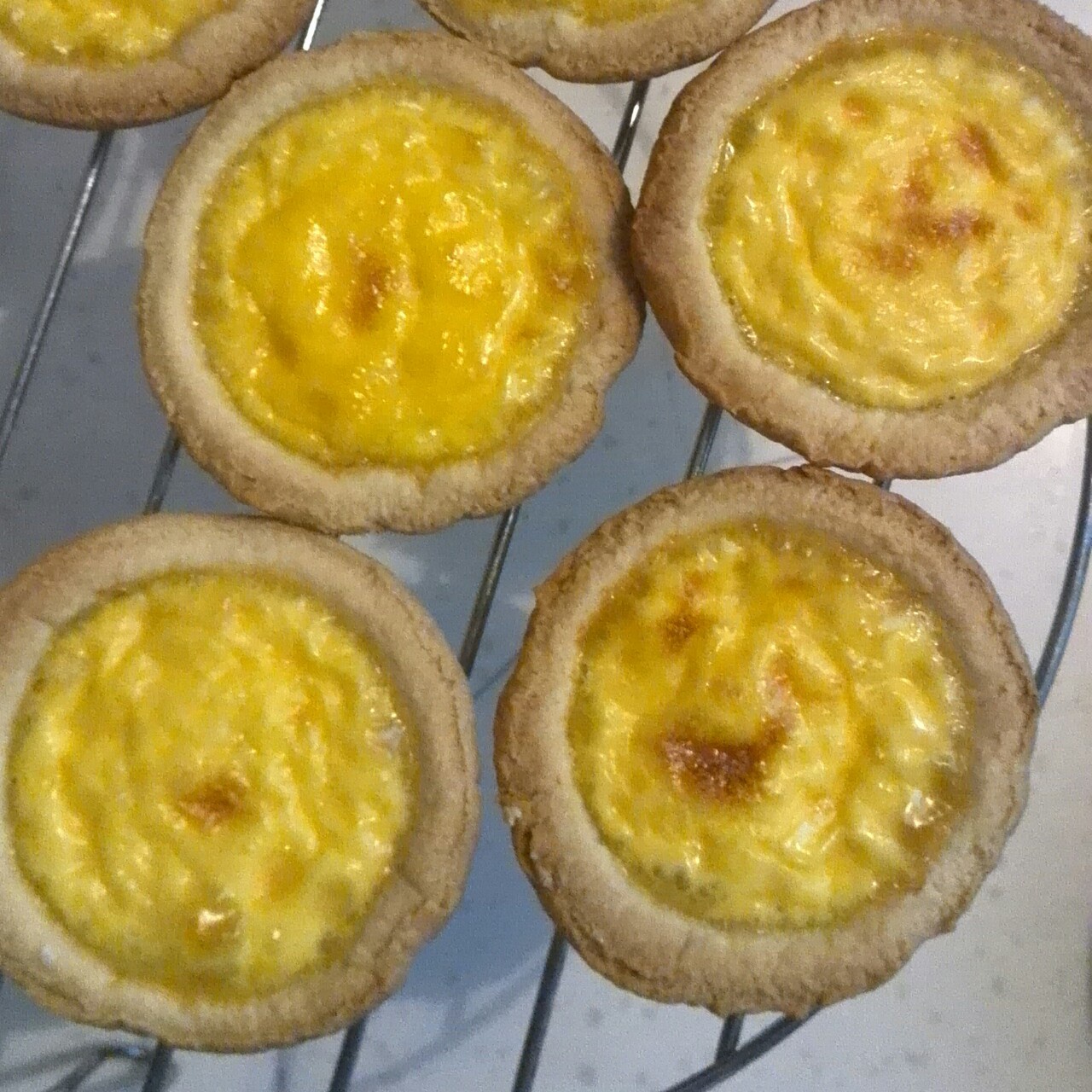 蛋挞