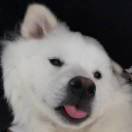 微信用户_2K2Y