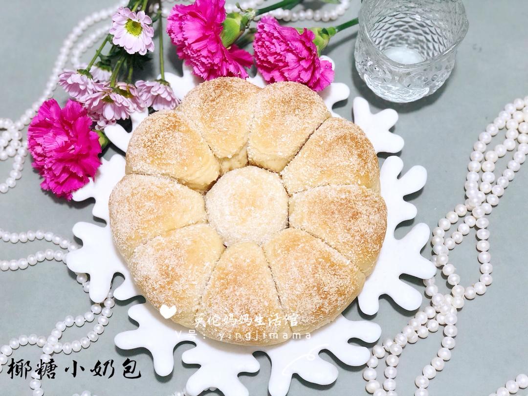 新手百搭基础面包-椰糖小奶包-无蛋版拉丝早餐包的做法