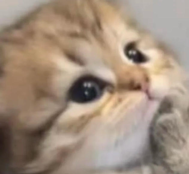 一口吃掉了了了