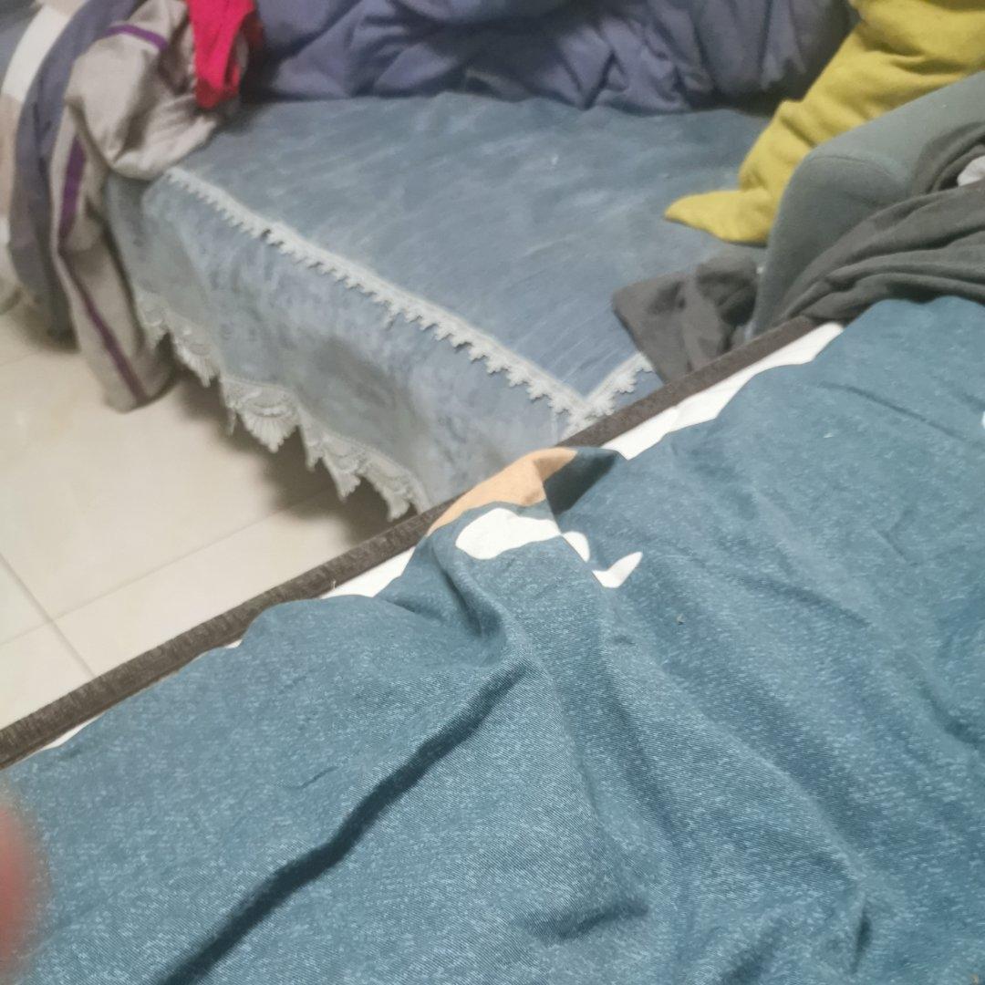 人宠一起吃肉片汤