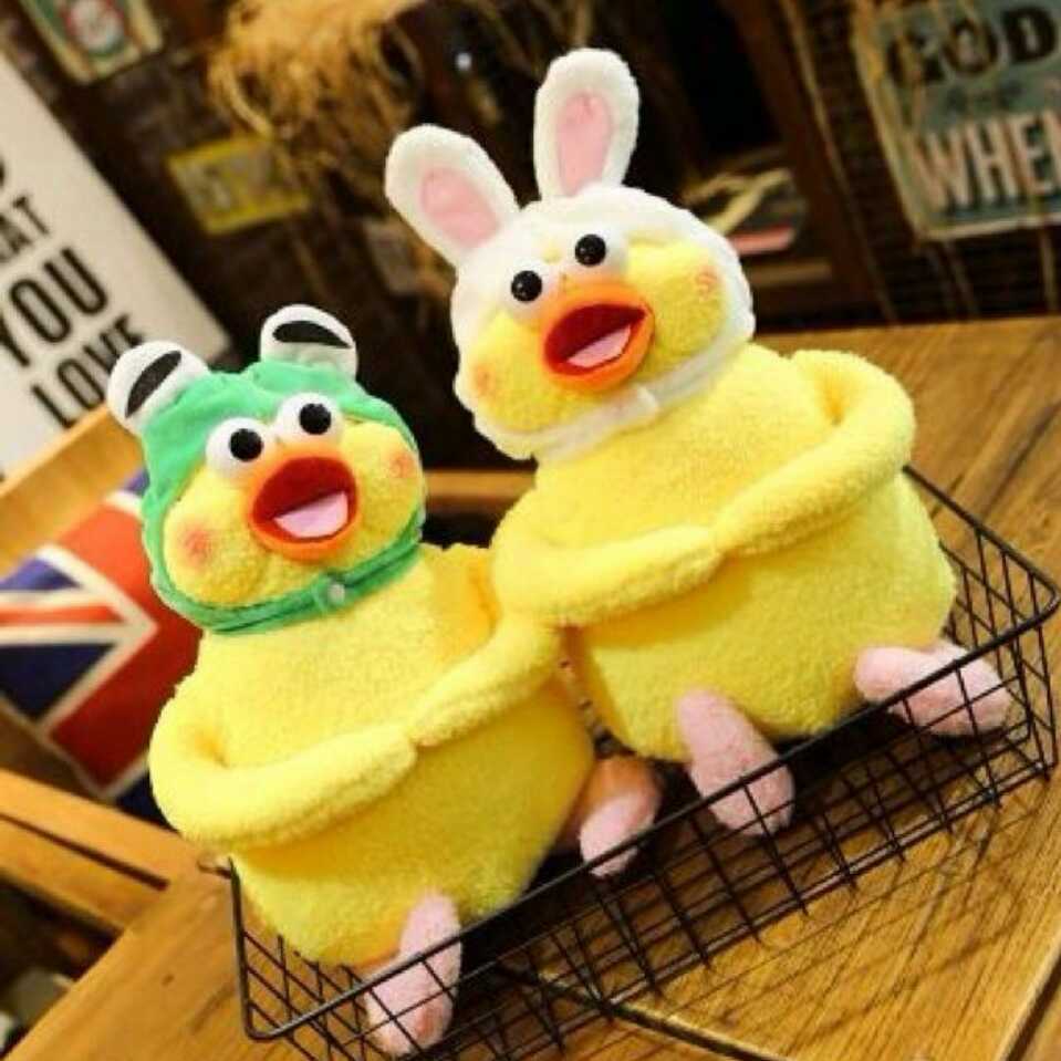 爱吃肉的宝宝