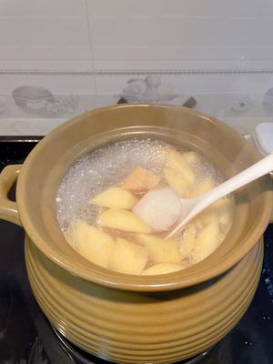 丰水梨秋果汤的做法 步骤10