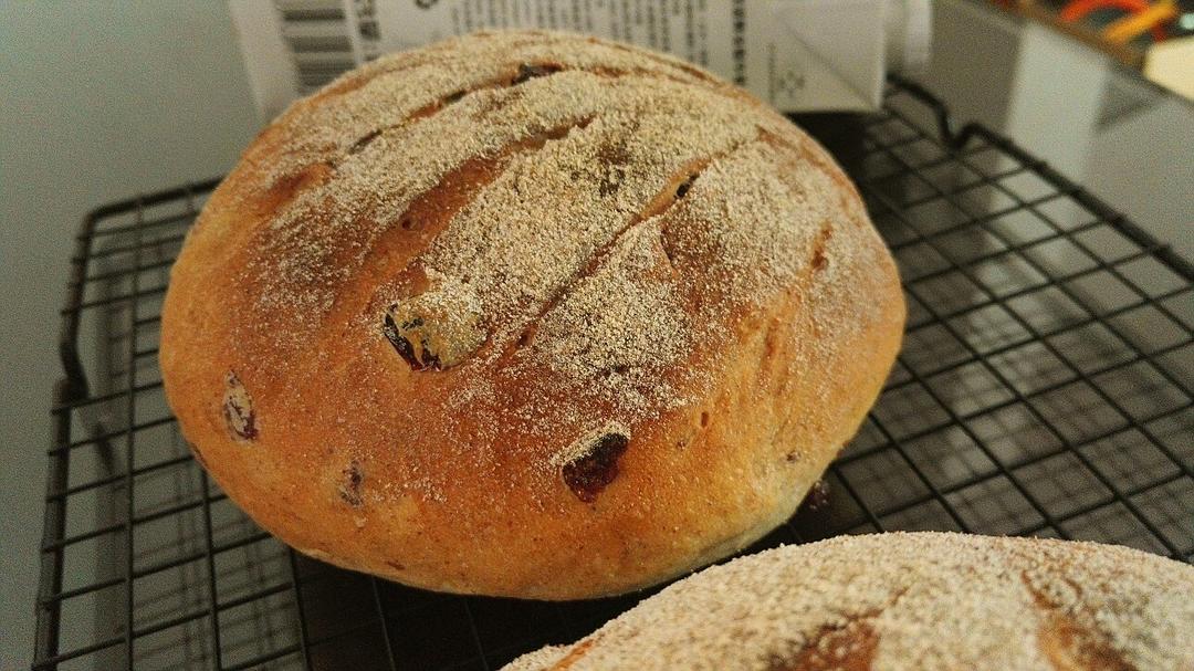 黑麦蔓越莓软欧包