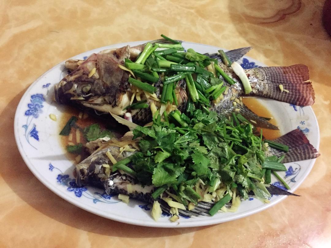 清蒸非洲鲫鱼