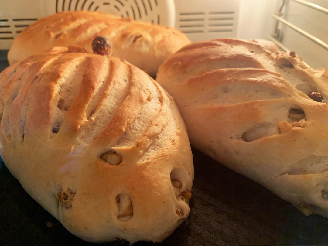 全麦蔓越莓核桃软欧包