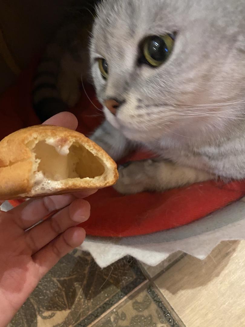 手把手教你零基础做泡芙