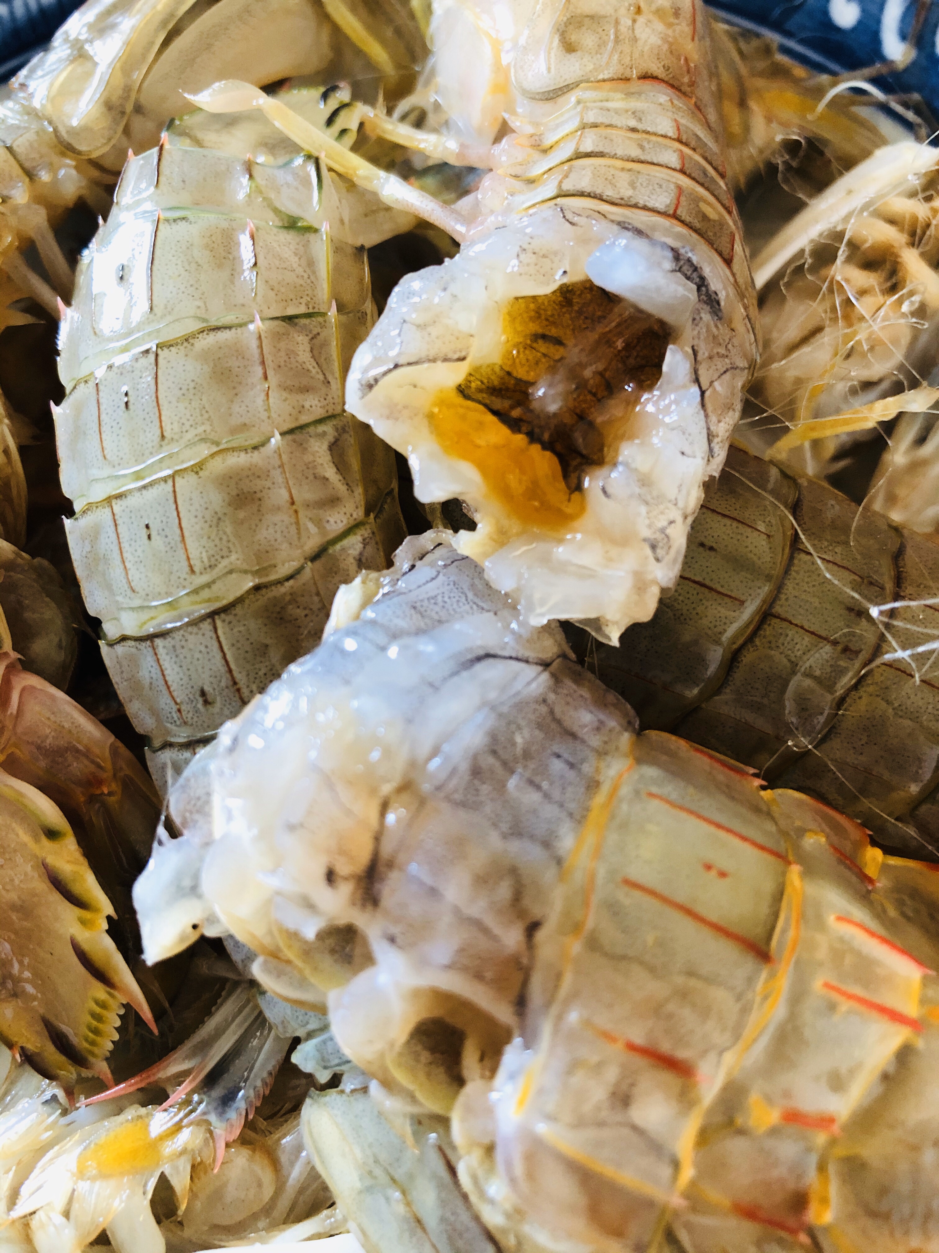 皮皮虾—腌制咸生版