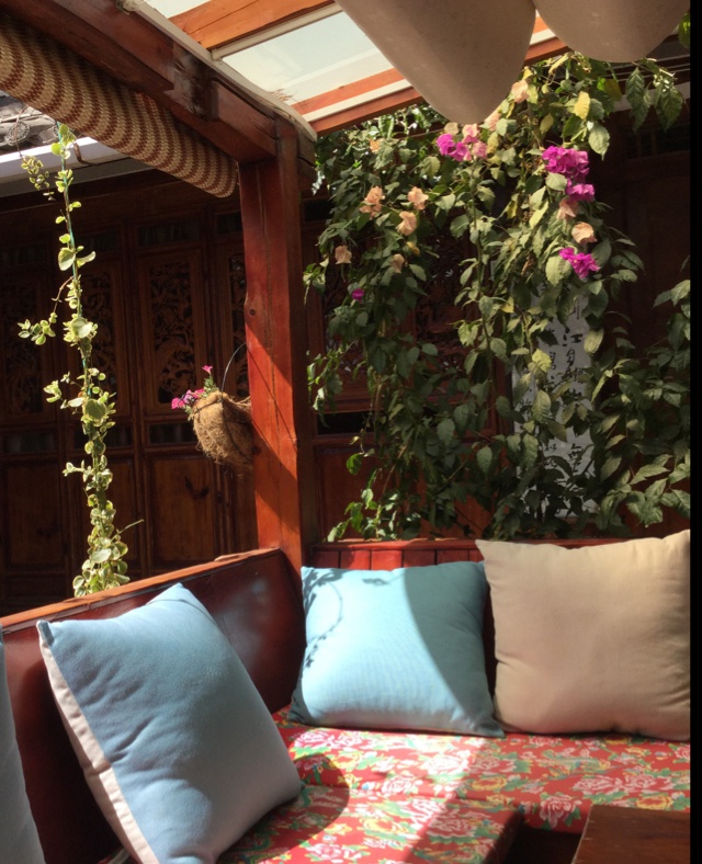 安的煮煮女养成