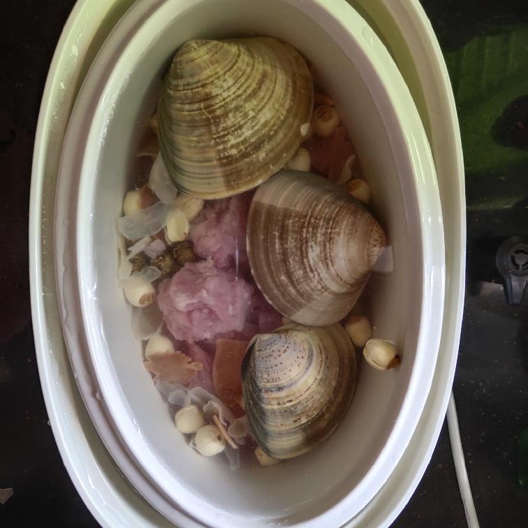 石斛麦冬清心汤