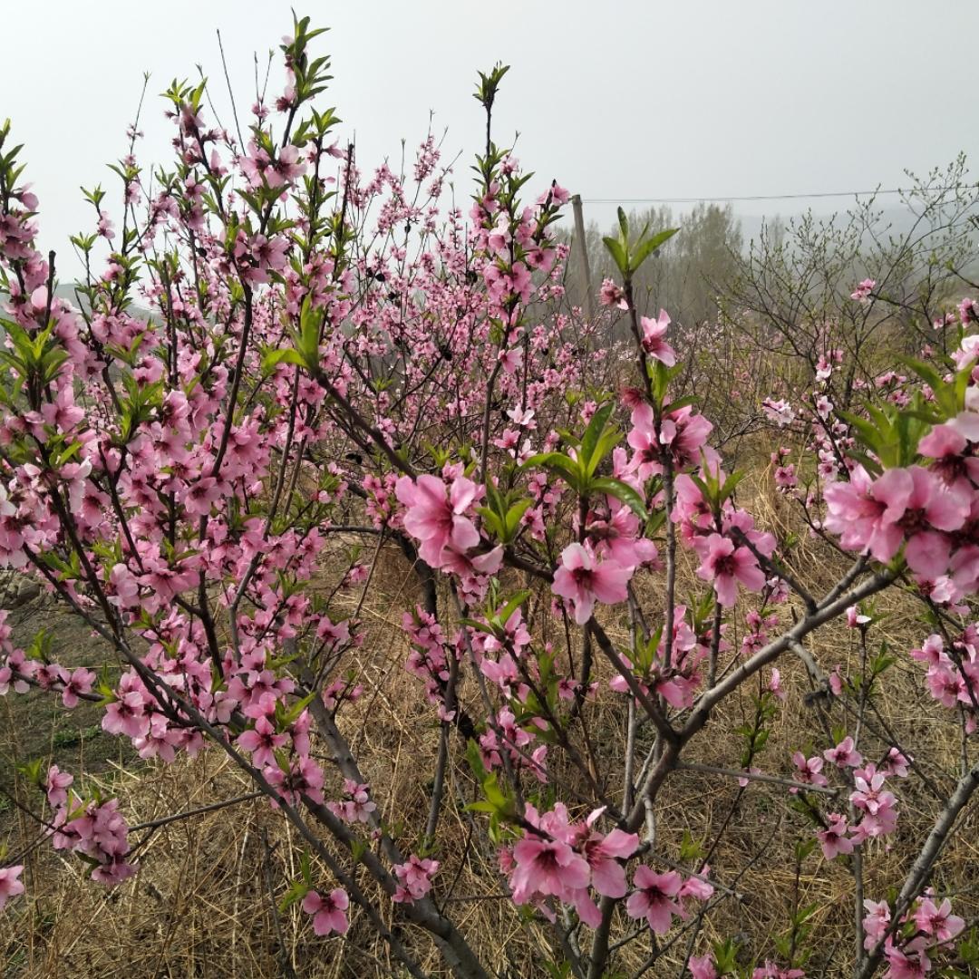 有颜有范的厨房