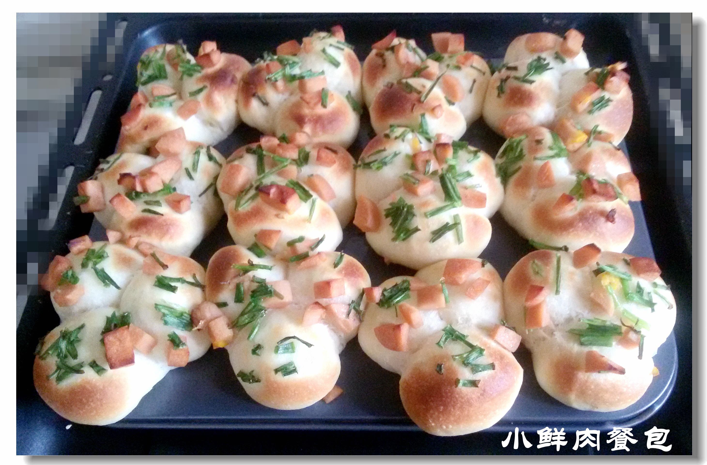 “小鲜肉”餐包