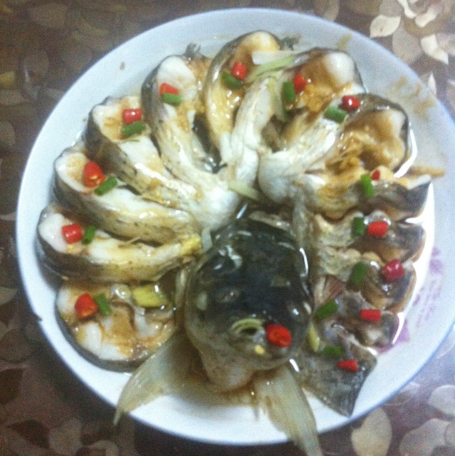 孔雀开屏鱼