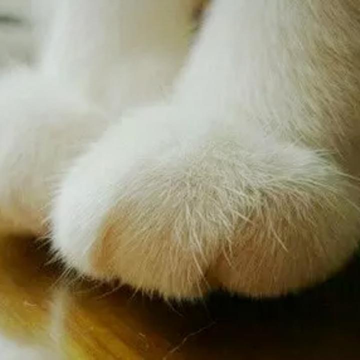 我爱学习我爱睡觉