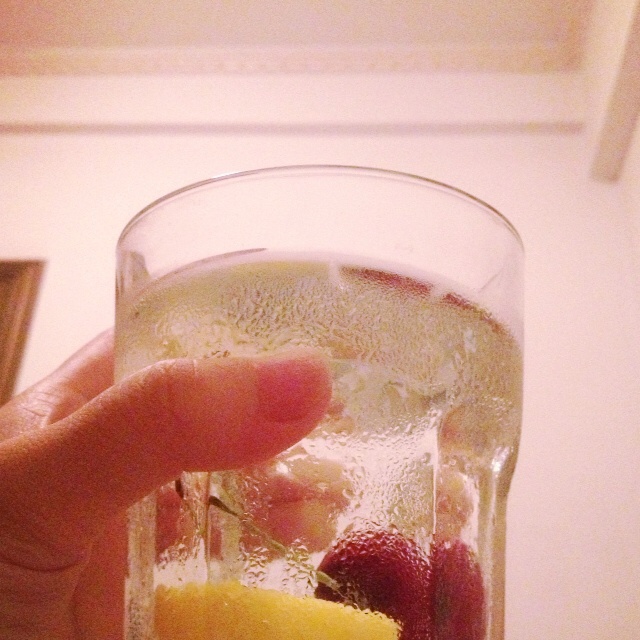 gin tonic 金汤力