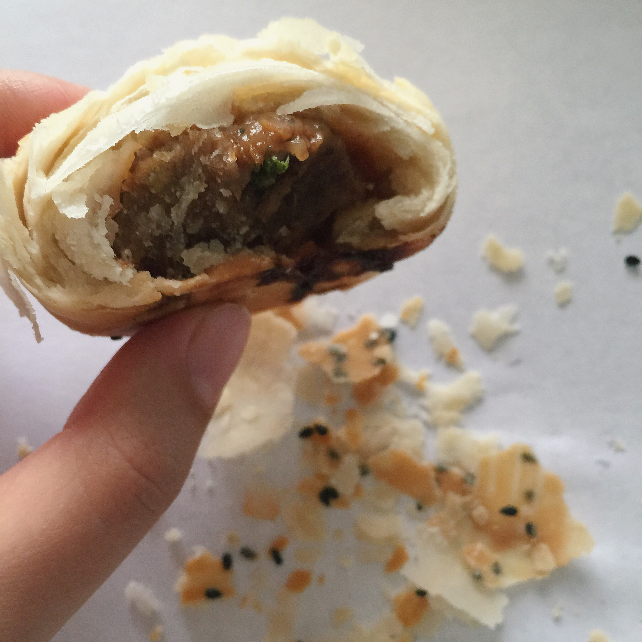 泳式鲜肉榨菜月饼