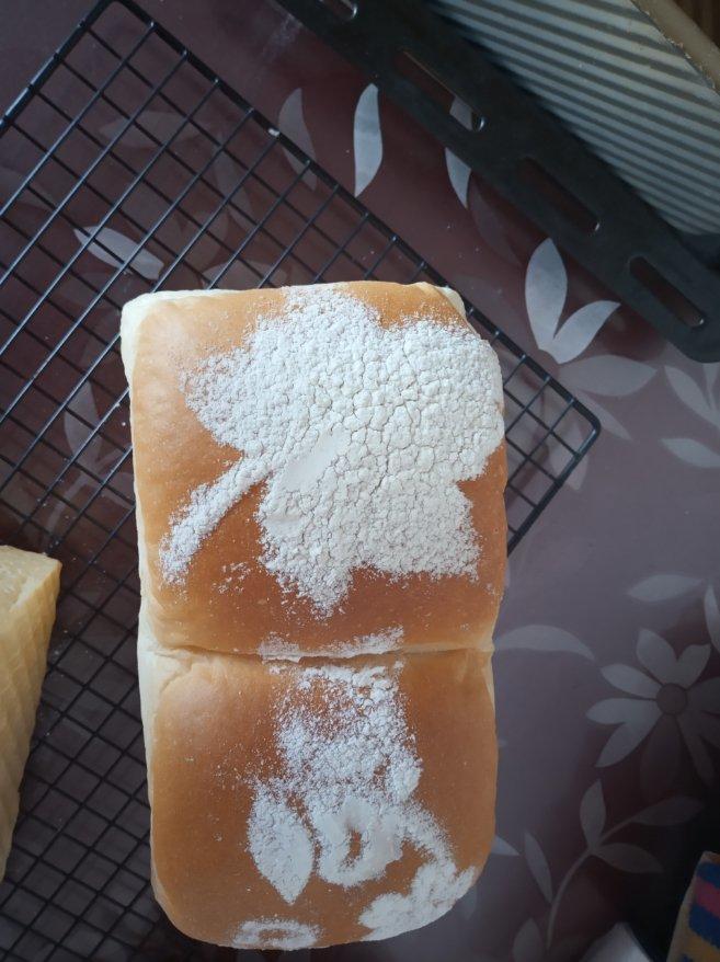 酸奶吐司（100%中种法）可以吃到酸奶的吐司