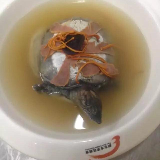 清炖野生甲鱼汤
