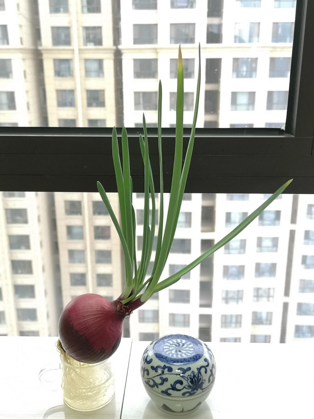 我的作品