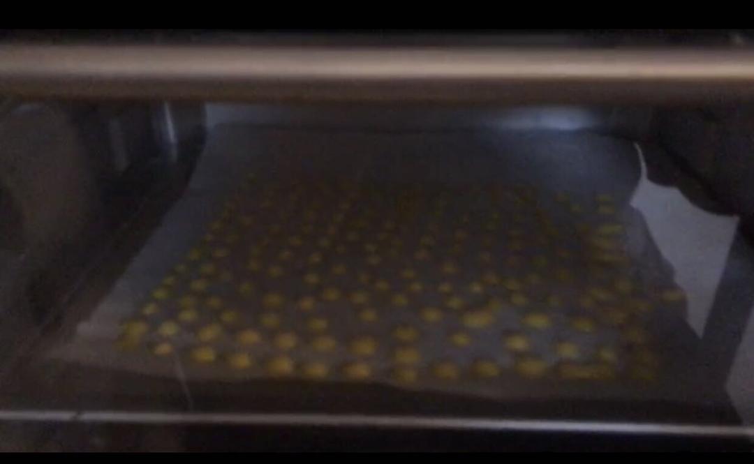 无糖溶豆 手工溶豆自制宝宝溶豆酸奶溶豆～各种水果味