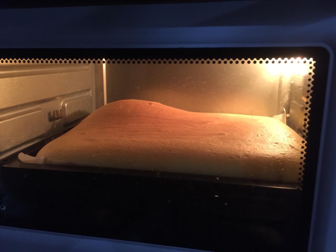 怎么卷都不裂的肉松蛋糕卷