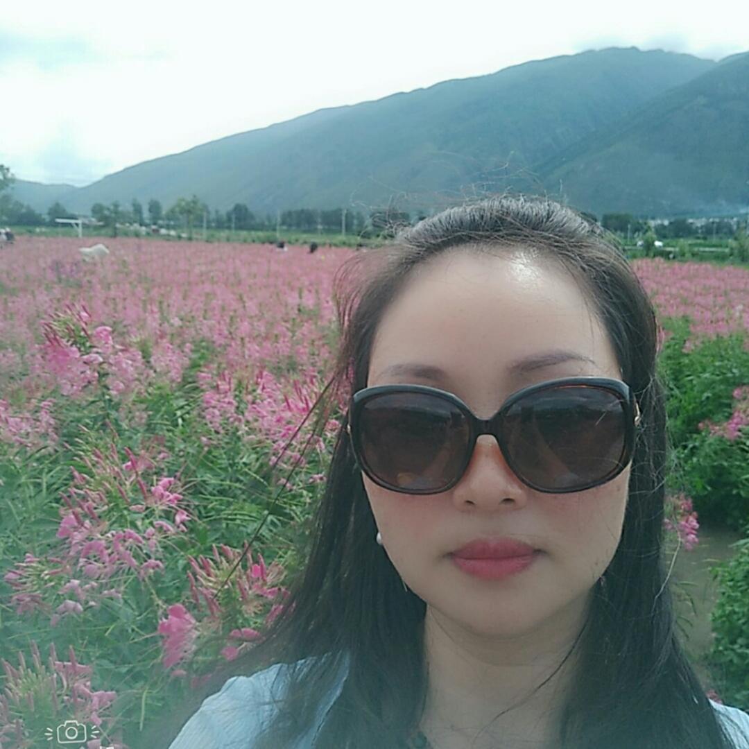AA南风来袭