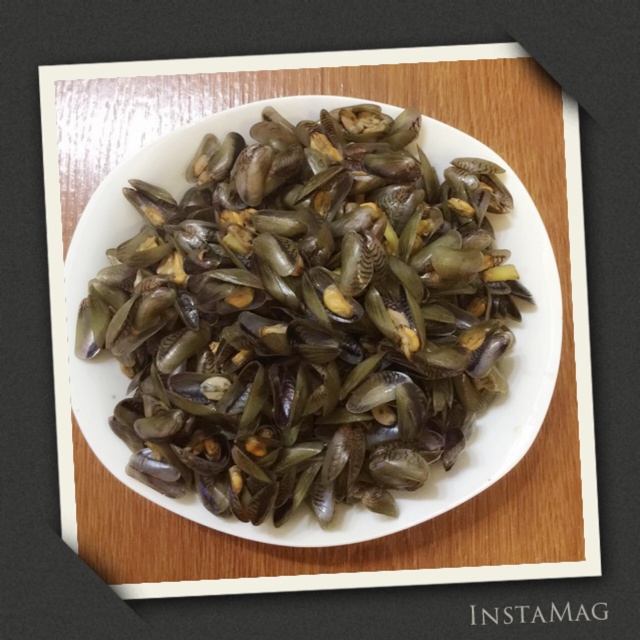 天音丝缕/ty做的酱油水海瓜子