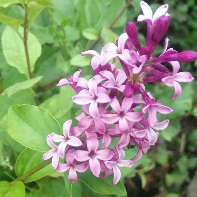 手机用户3303_kagr