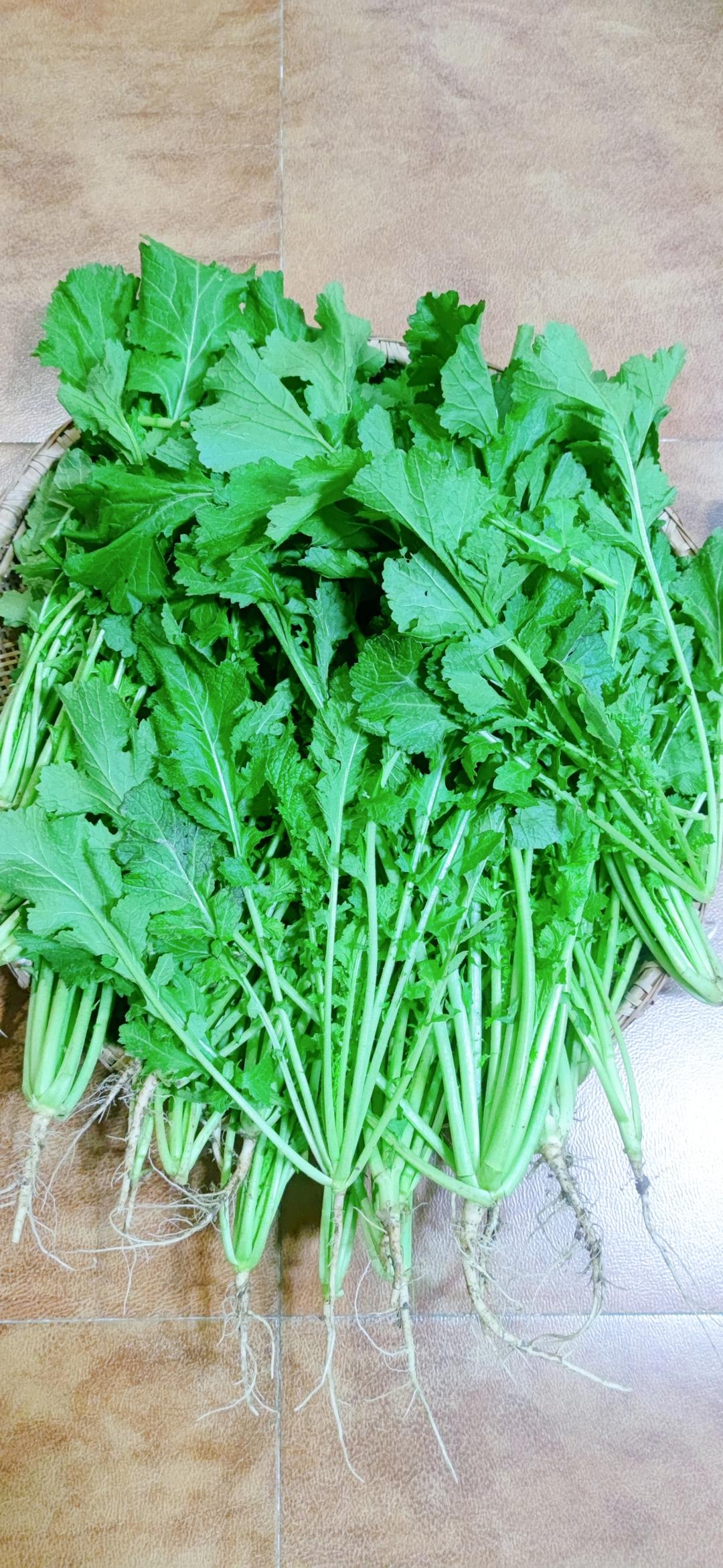 秘制野菜腌菜