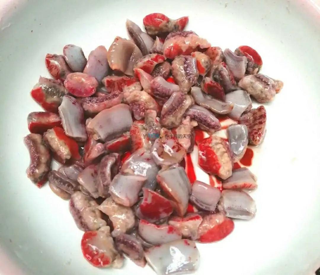 海葵
