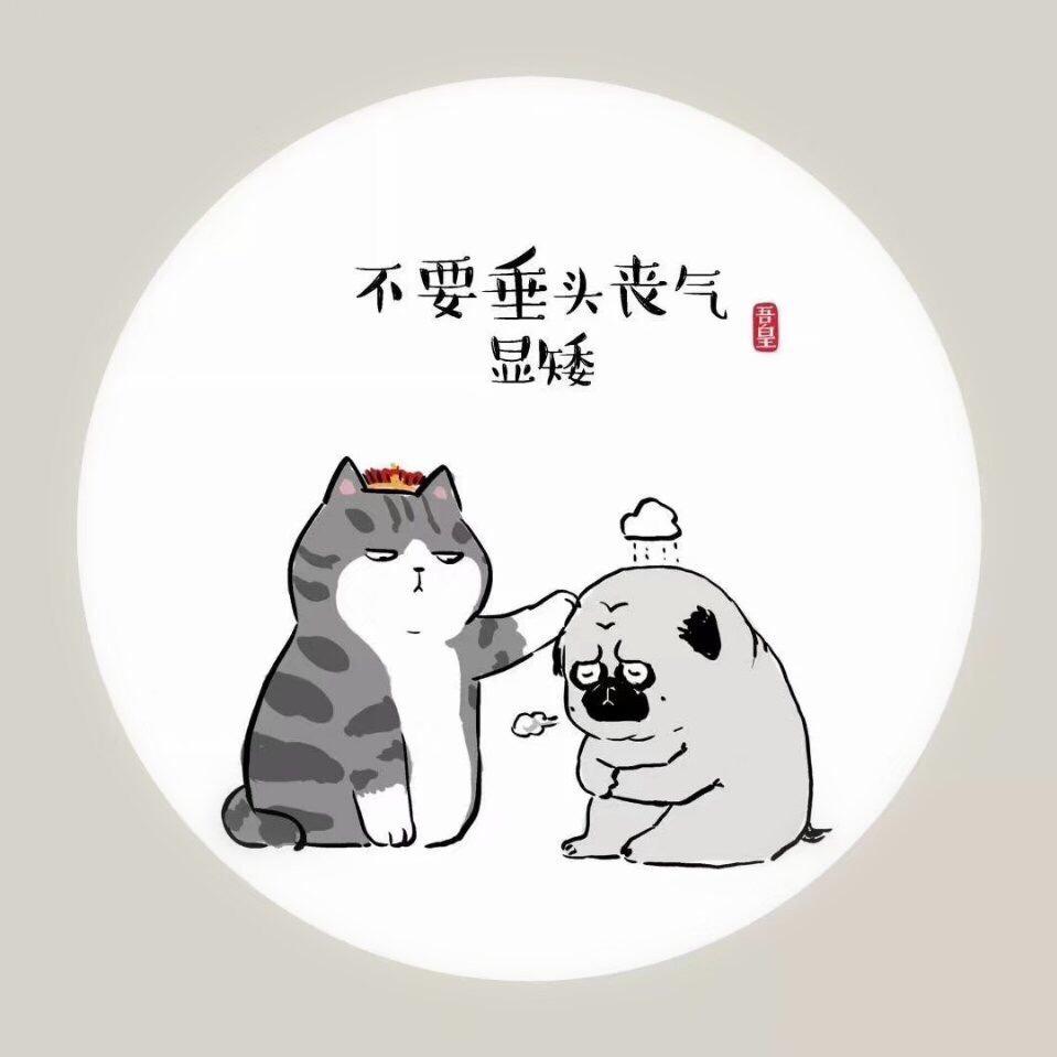 TY天怡