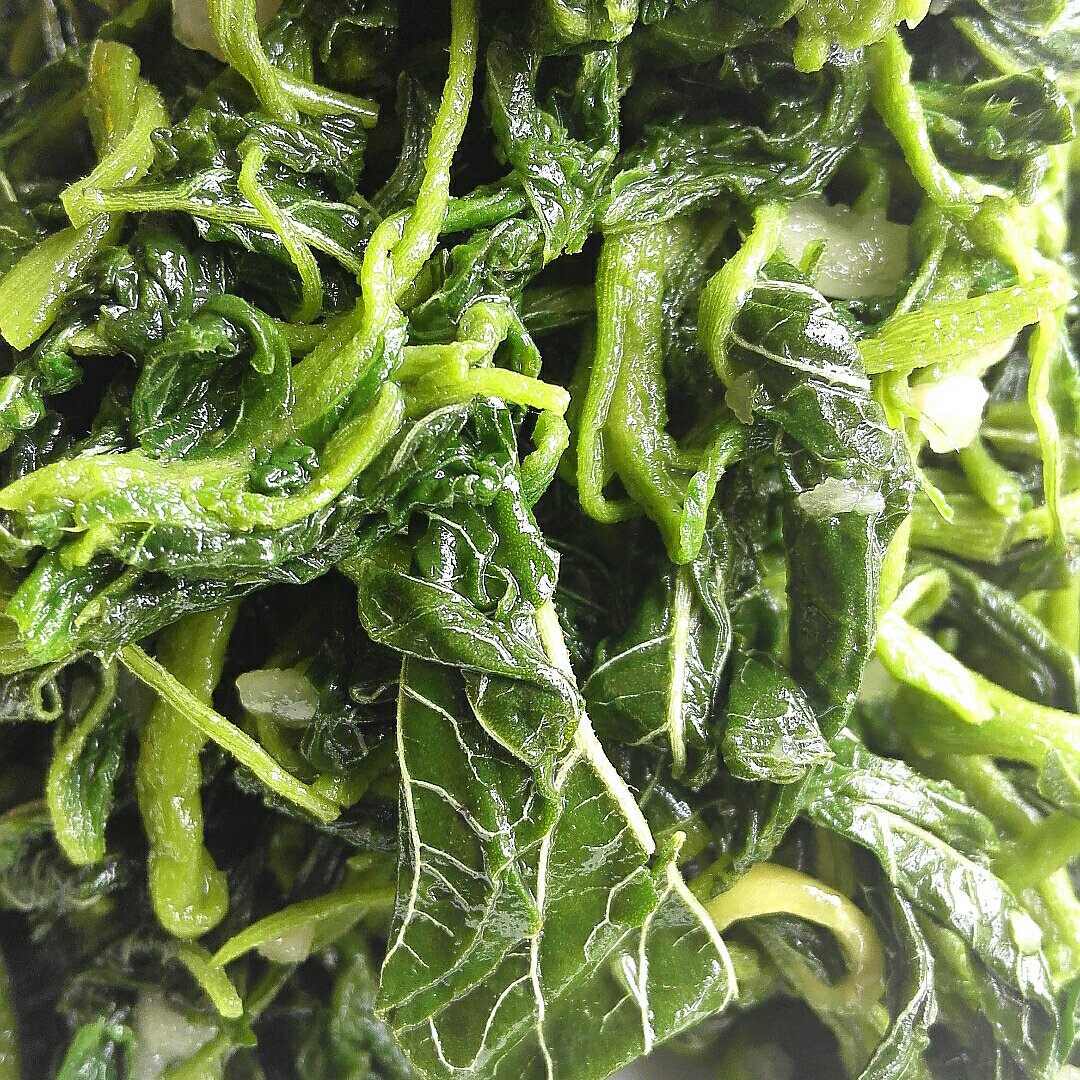 韬分享作品午餐612016年6月22日#午餐612016年6月22日#调盘野人菜