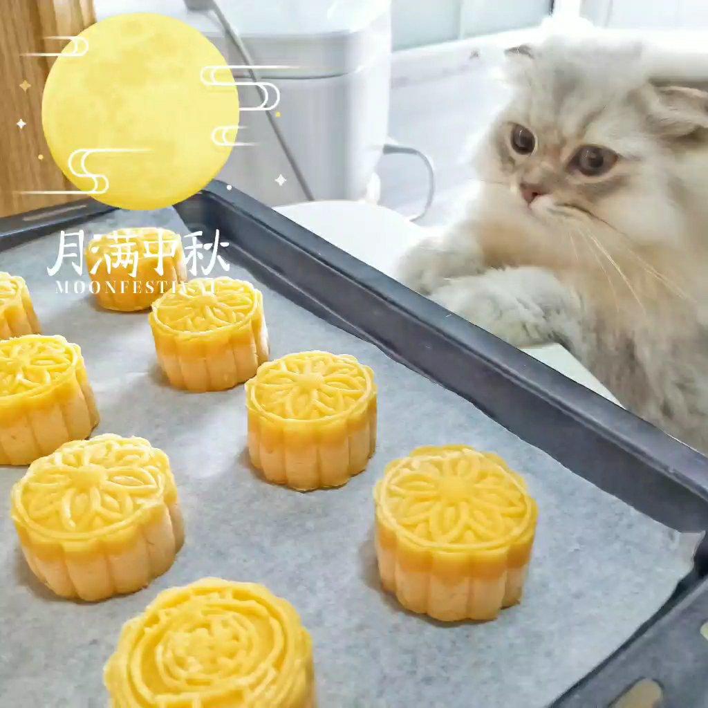 超详细图解版--流心奶黄月饼
