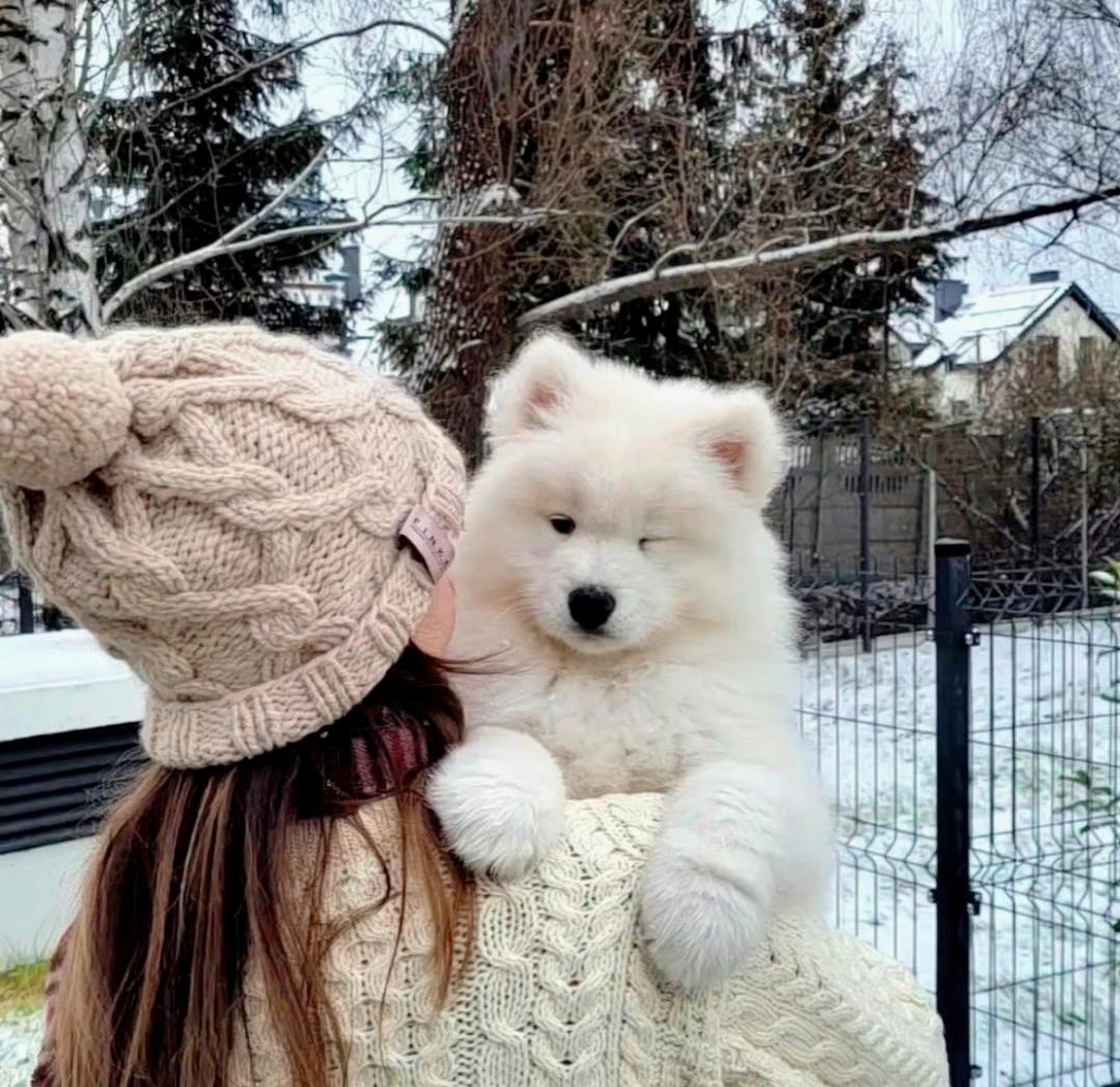 怎么老犯困
