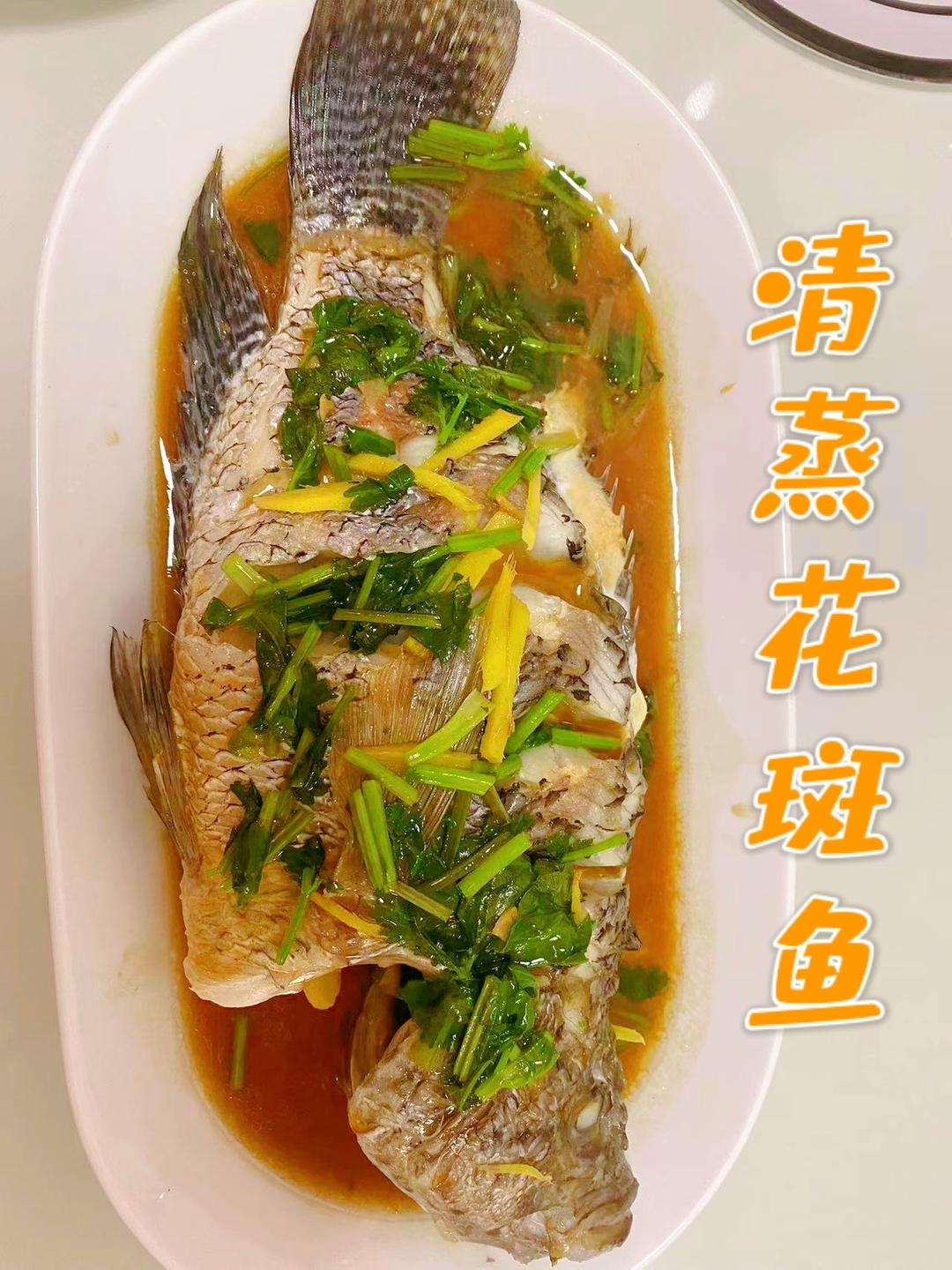 清蒸花斑鱼的做法