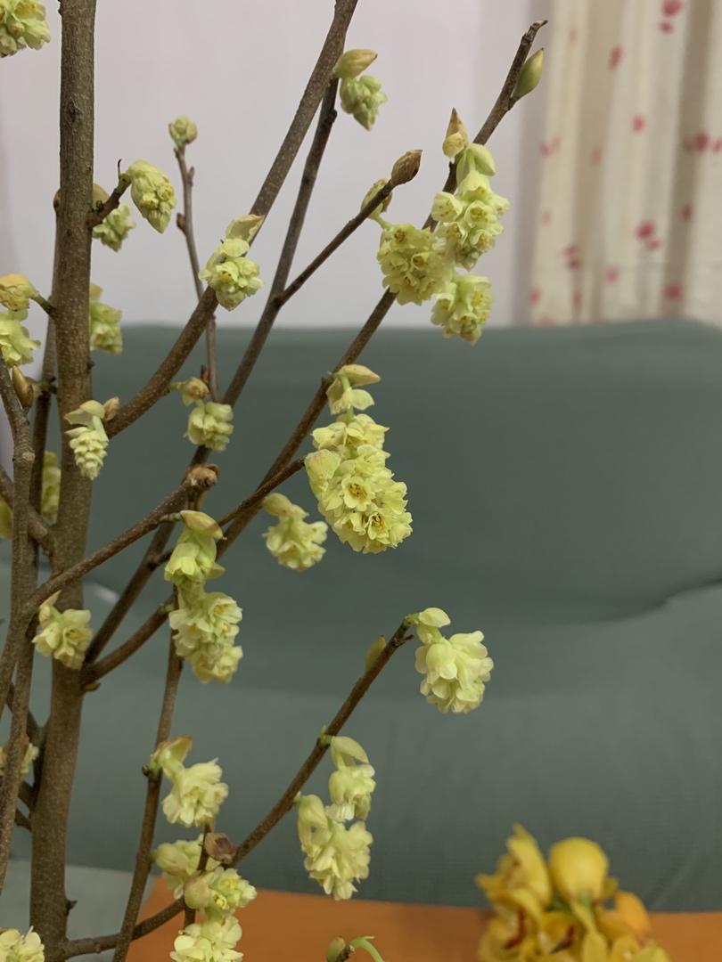 花花世界